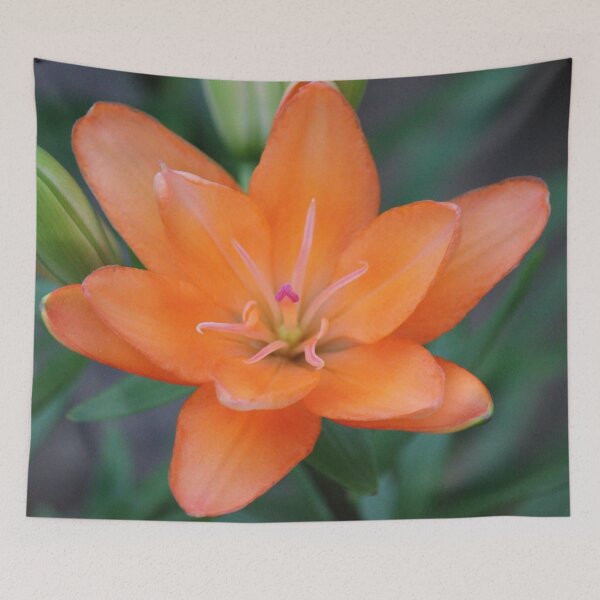 Item preview, Orange lily flower designed and sold by stina-bee.