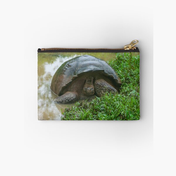 Item preview, Galapagos Islands Giant Tortoise Turtle designed and sold by SafariByMarisa.