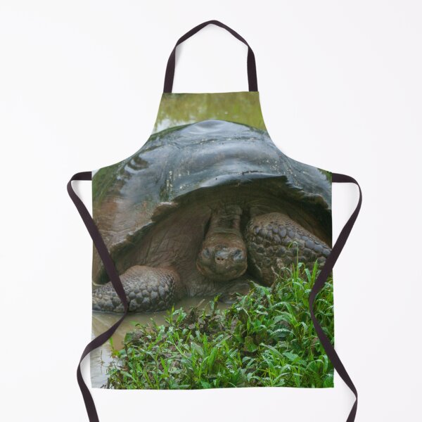 Item preview, Galapagos Islands Giant Tortoise Turtle designed and sold by SafariByMarisa.