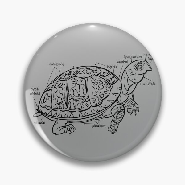 Item preview, Turtle anatomy zoo animals coloring line art designed and sold by Designwebjae.