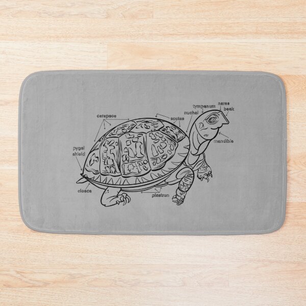 Item preview, Turtle anatomy zoo animals coloring line art designed and sold by Designwebjae.