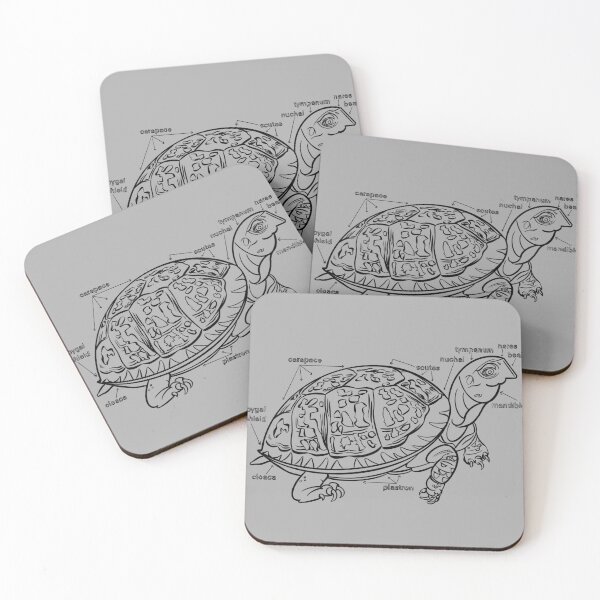 Item preview, Turtle anatomy zoo animals coloring line art designed and sold by Designwebjae.