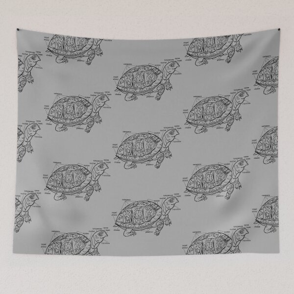 Item preview, Turtle anatomy zoo animals coloring line art designed and sold by Designwebjae.
