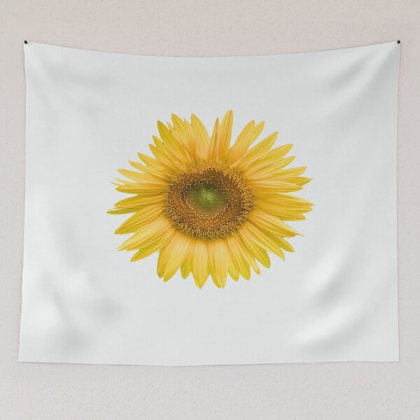Item preview, Blooming Sunflower, Real Photograph designed and sold by Bradford Adams.