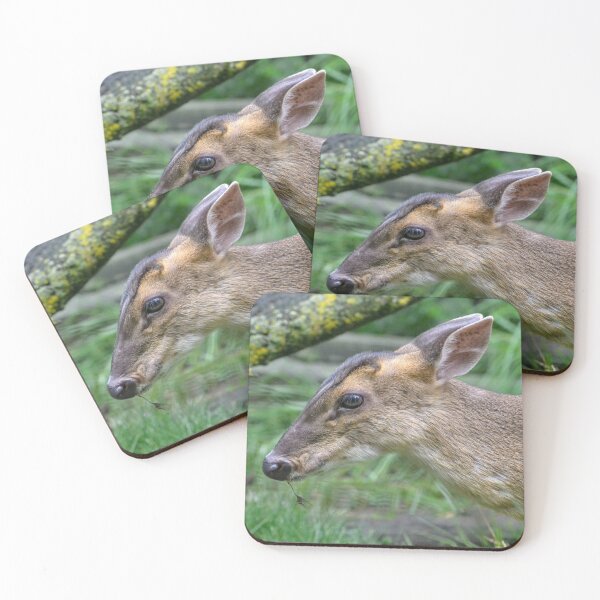 Item preview, Duiker designed and sold by akdcash.