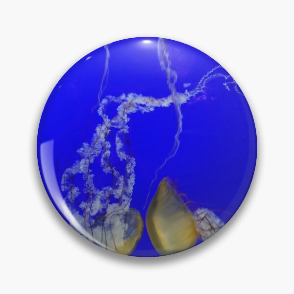 Item preview, Jellyfish Trio on Blue designed and sold by Tamara McDonnell.