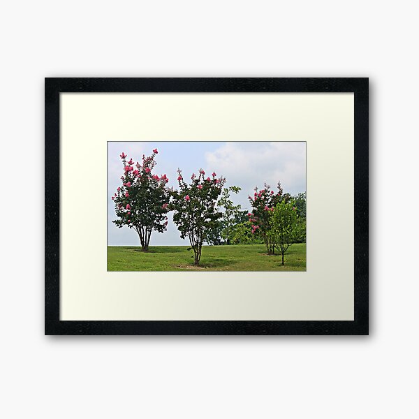 Item preview, Crepe Myrtle Trees designed and sold by Carolyn Ricks.