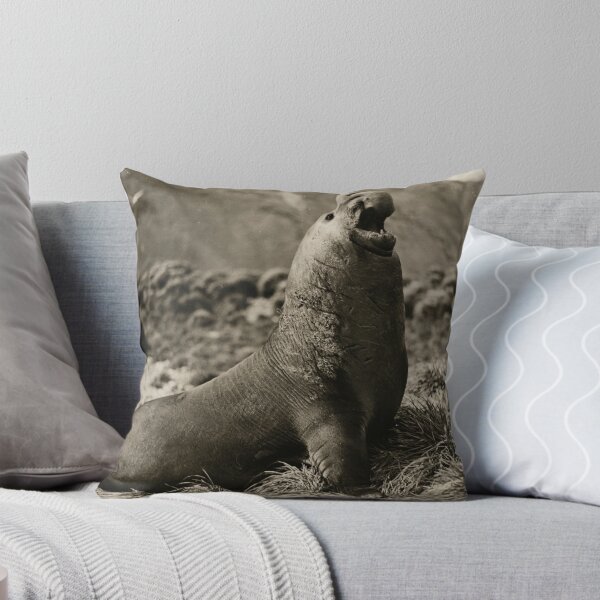 Item preview, Sea Elephant | Frank Hurley, Antarctica, c.1913 designed and sold by tinyflyinggoats.
