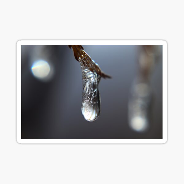 Tiny Bubbles in Drip of Ice Sticker