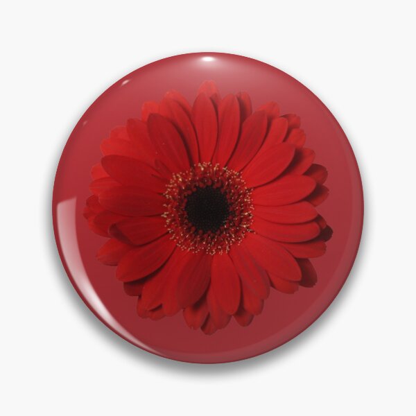 Item preview, Red Gerbera designed and sold by STHogan.