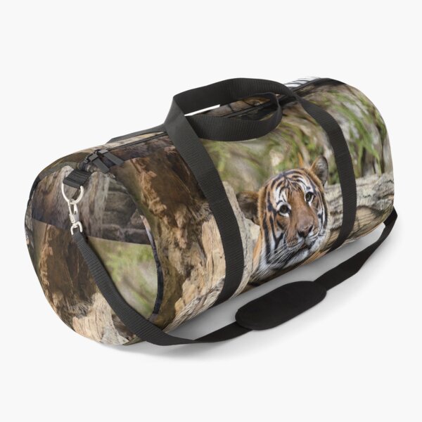Item preview, Malayan Tiger Lying on the Rocks Artistry designed and sold by KbytesOfJax Outdoor and Nature.
