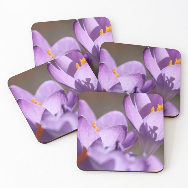 Item preview, Purple Crocus in the Sun designed and sold by TJFox.