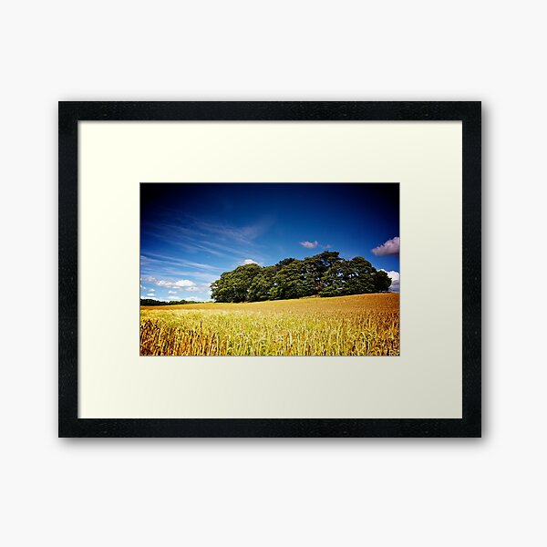 North Yorkshire Cornfield & Copse 3 Framed Art Print