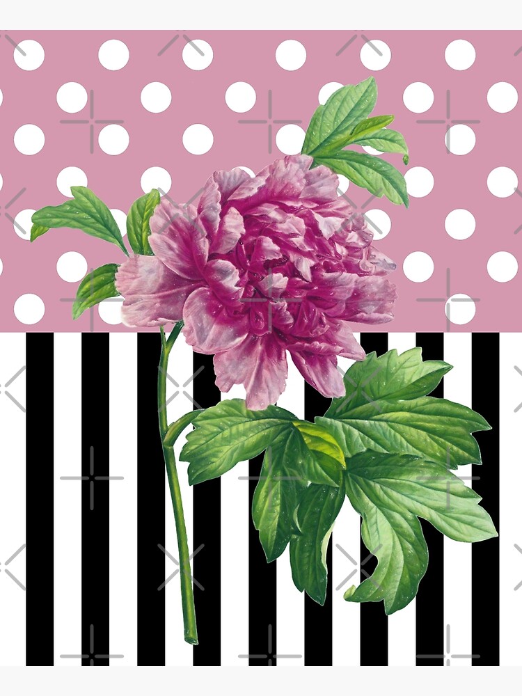 Pink Peony polka dot pink by eveystudios