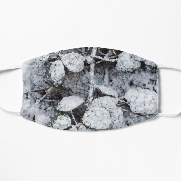 Snow Covered Fern Flat Mask