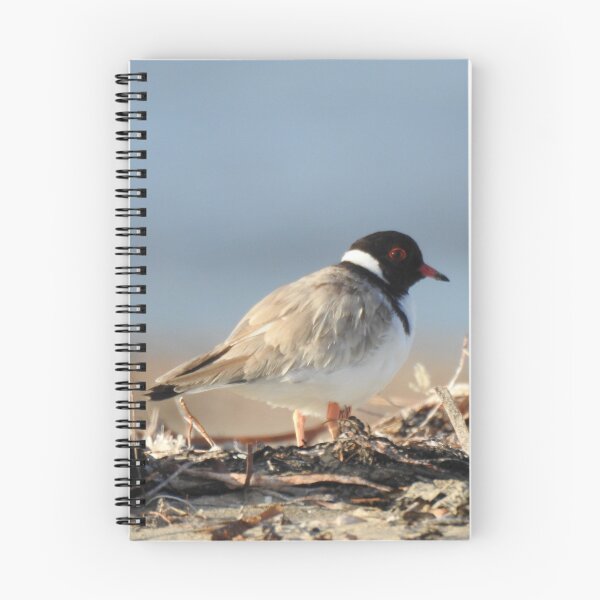Item preview, Hooded Plover  designed and sold by BirdBags.