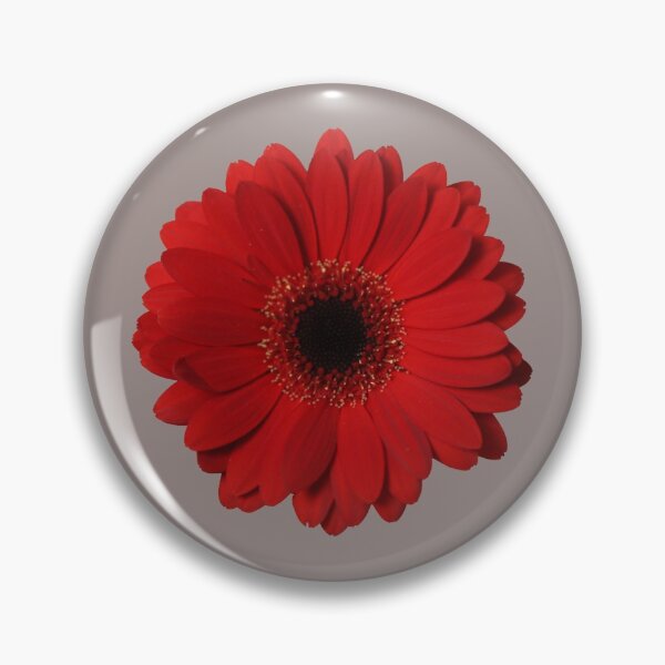 Item preview, Red Gerbera designed and sold by STHogan.