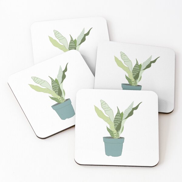 Item preview, Snake Plant, Moonshine (Sansevieria trifasciata) designed and sold by karolinas419.