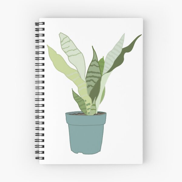 Item preview, Snake Plant, Moonshine (Sansevieria trifasciata) designed and sold by karolinas419.