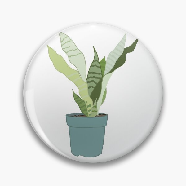 Item preview, Snake Plant, Moonshine (Sansevieria trifasciata) designed and sold by karolinas419.