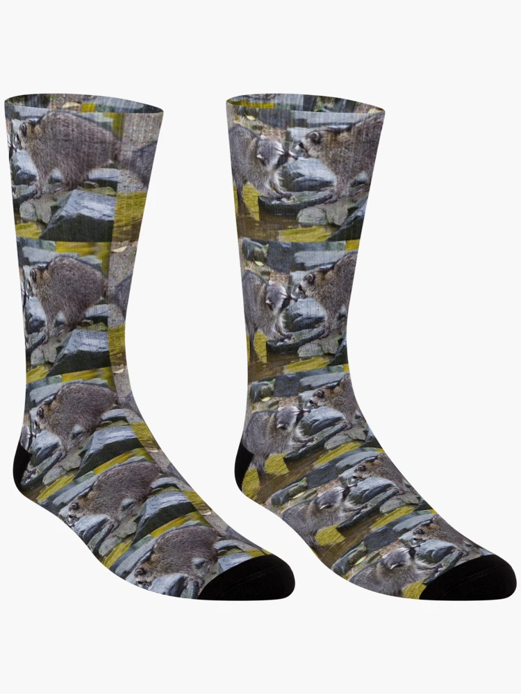 Thumbnail 3 of 5, Socks, Sibling Rivalry... designed and sold by RichImage.