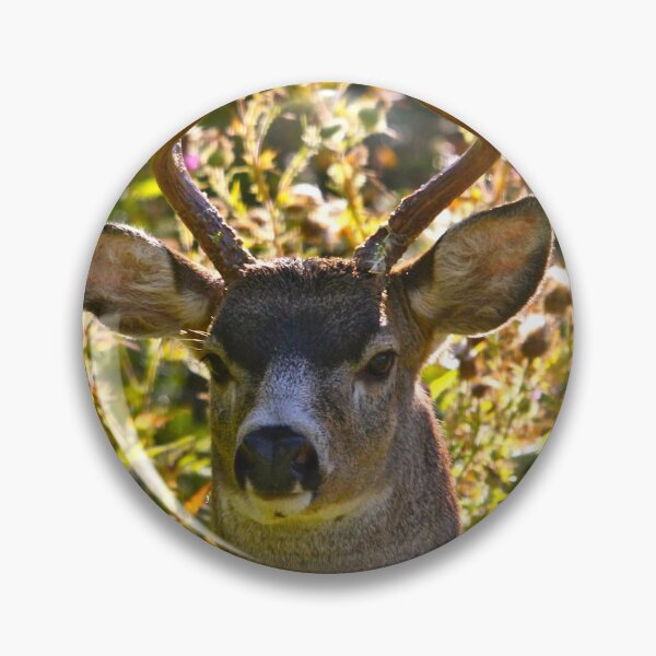 Item preview, Portrait of the Black Tailed Buck... designed and sold by RichImage.