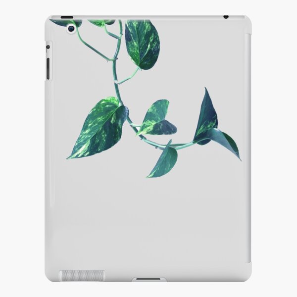 Timothee Chalamet iPad Case & Skin for Sale by halixoxo