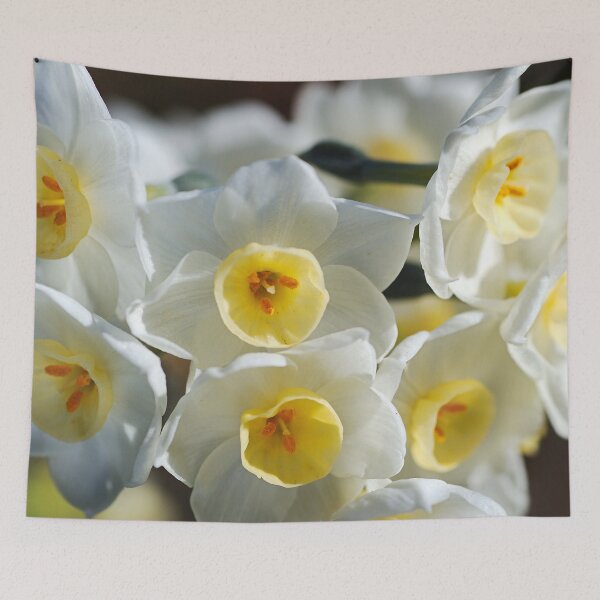 Item preview, Jonquil Wonder designed and sold by Joy Watson - Natural Light Photography .