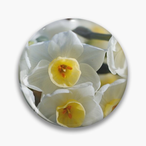 Item preview, Jonquil Wonder designed and sold by Joy Watson - Natural Light Photography .