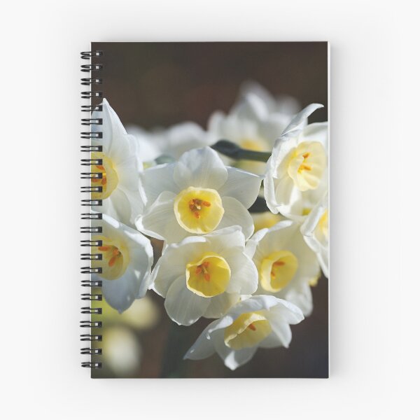 Item preview, Jonquil Wonder designed and sold by Joy Watson - Natural Light Photography .