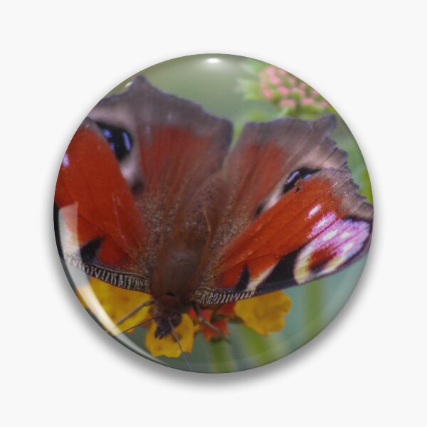 Item preview, European Peacock Butterfly designed and sold by Marilyn Harris.