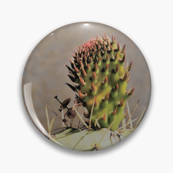 Item preview, Cactus Buds designed and sold by Martha Sherman.