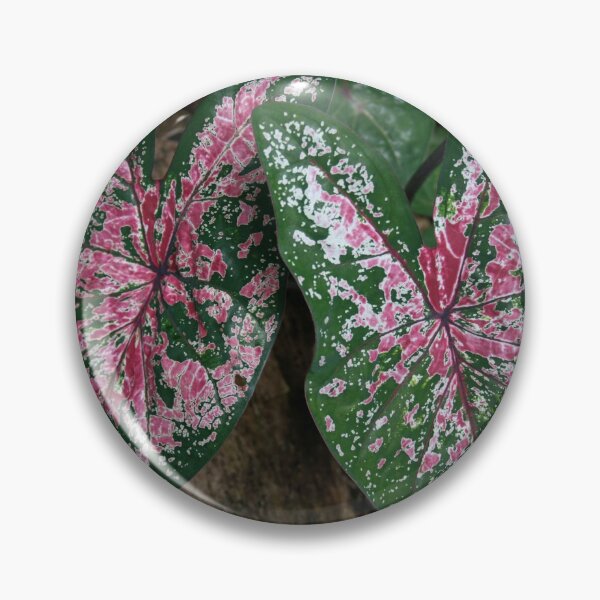 Item preview, Allocasia Leaves designed and sold by Wendy Skala.