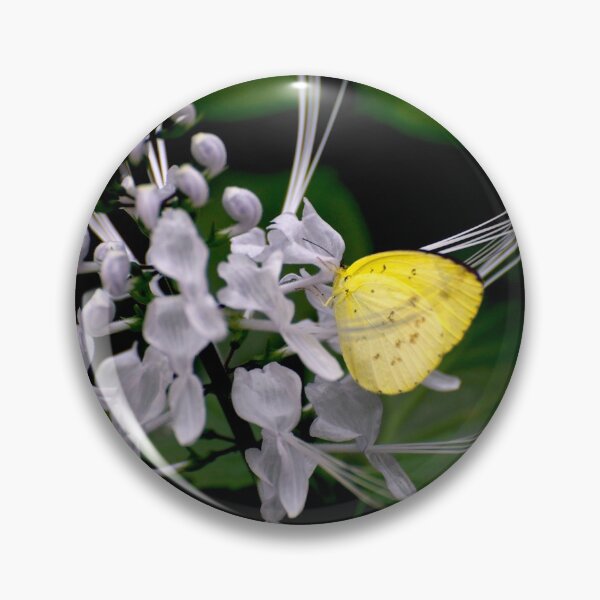 Item preview, Lemon Migrant designed and sold by GP1746.