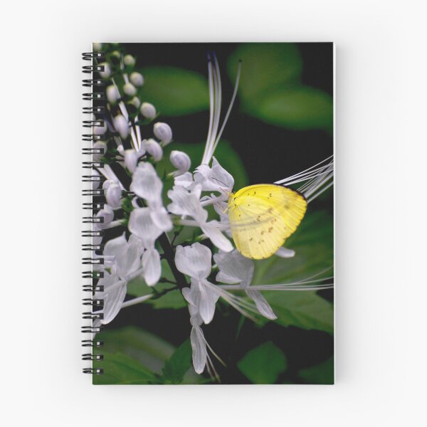 Item preview, Lemon Migrant designed and sold by GP1746.