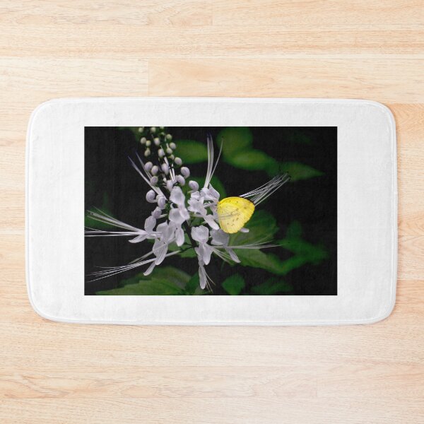 Item preview, Lemon Migrant designed and sold by GP1746.
