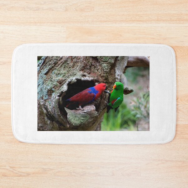 Item preview, Pair Of Eclectus At The Nest designed and sold by GP1746.