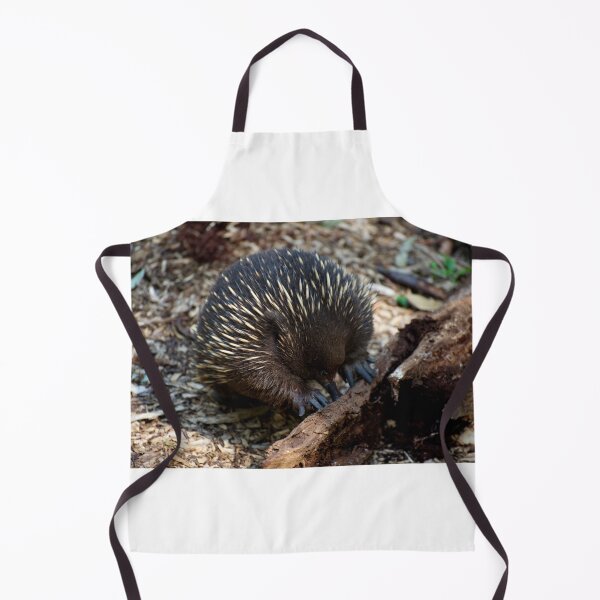 Item preview, Echidna Sticky Beak designed and sold by GP1746.