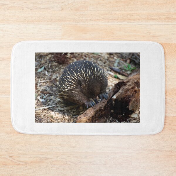 Item preview, Echidna Sticky Beak designed and sold by GP1746.