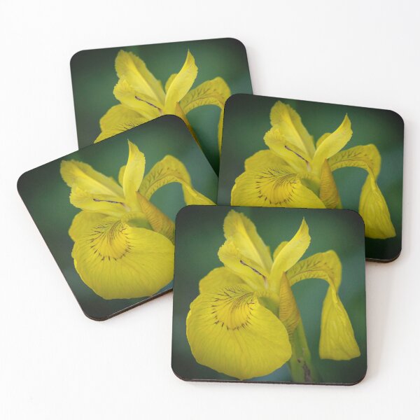 Item preview, Yellow Iris (Iris pseudacorus) designed and sold by Marilyn Harris.