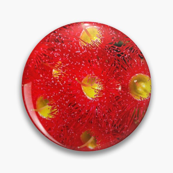 Item preview, Eucalyptus Red Flowers Glow designed and sold by Joy Watson - Natural Light Photography .
