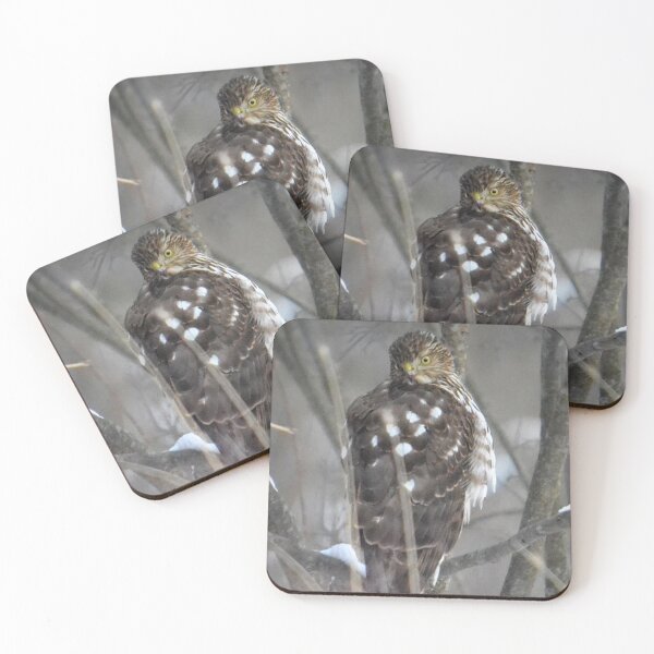 Item preview, Watchful Hawk designed and sold by ReneeKennedy.
