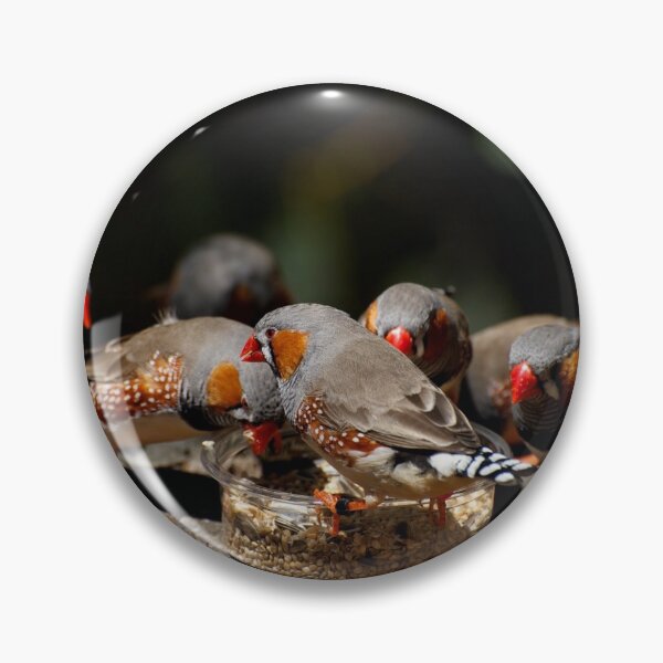 Aperçu de l'œuvre Zebra Finch Feeding Frenzy créée et vendue par GP1746.