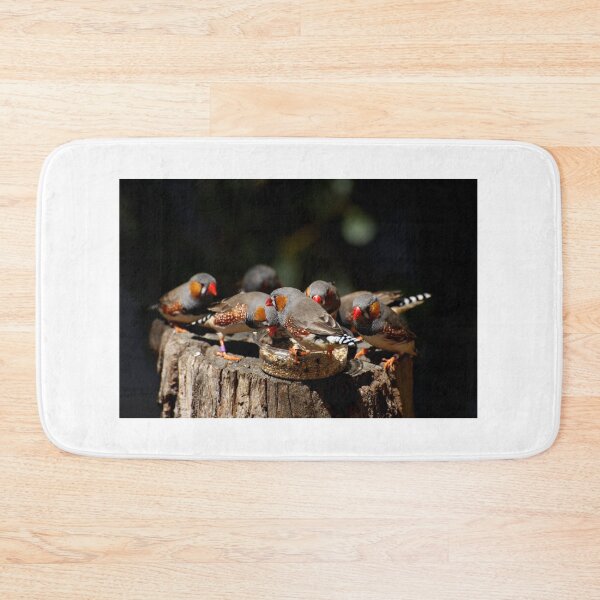 Item preview, Zebra Finch Feeding Frenzy designed and sold by GP1746.