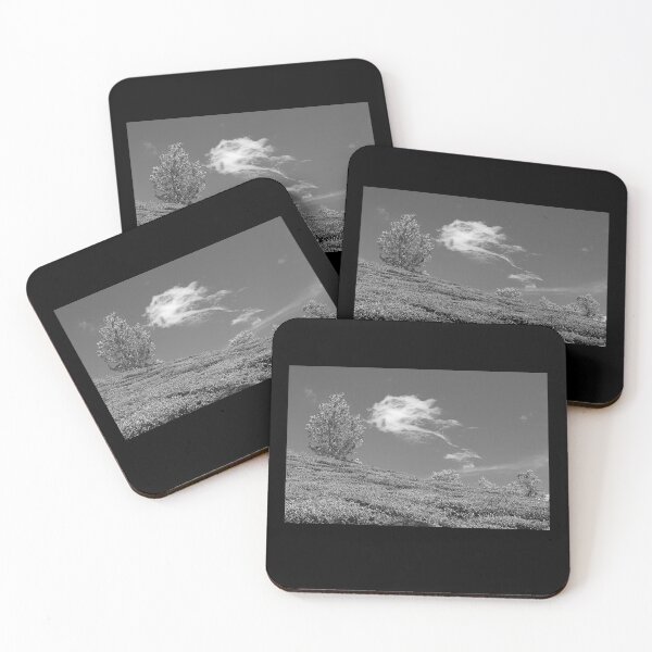 Item preview, SSK 9217 Towards The Sky. B/W designed and sold by Sunil Kapadia.