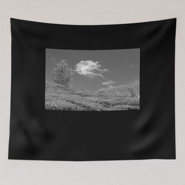 Item preview, SSK 9217 Towards The Sky. B/W designed and sold by Sunil Kapadia.