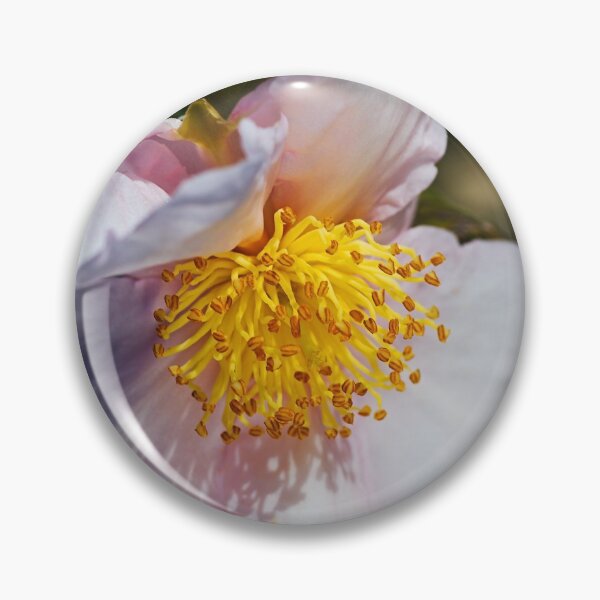 Item preview, Camellia With Shadows  designed and sold by Joy Watson - Natural Light Photography .