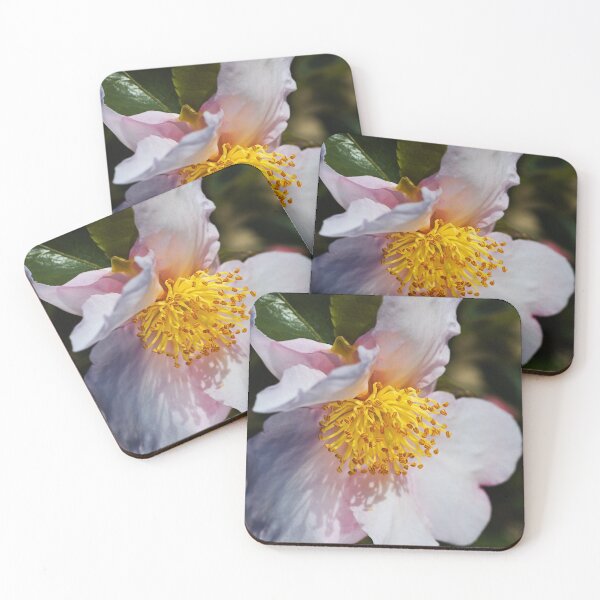 Item preview, Camellia With Shadows  designed and sold by Joy Watson - Natural Light Photography .