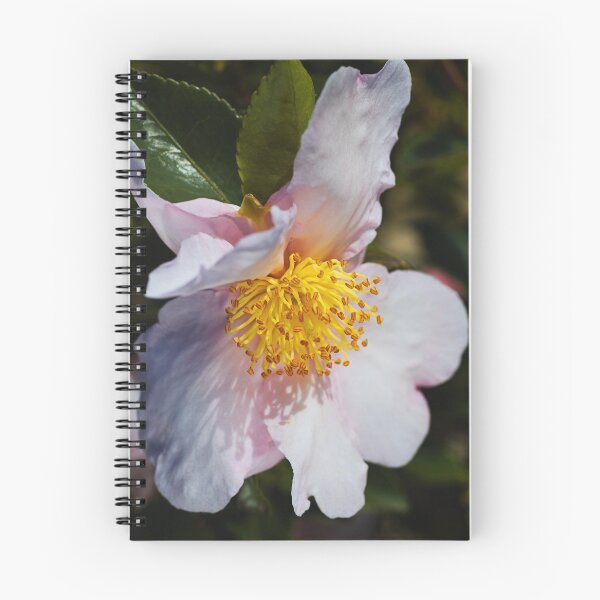 Item preview, Camellia With Shadows  designed and sold by Joy Watson - Natural Light Photography .