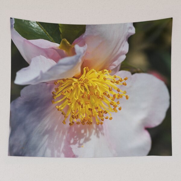 Item preview, Camellia With Shadows  designed and sold by Joy Watson - Natural Light Photography .